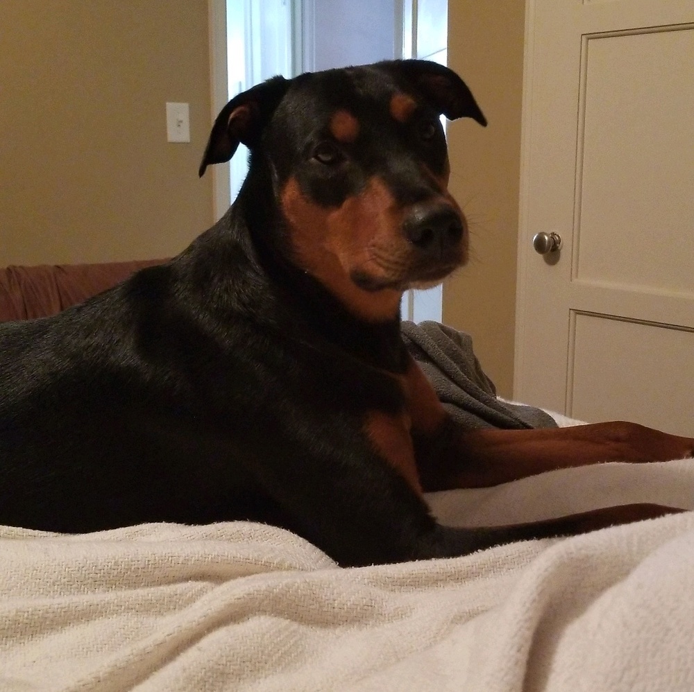 Meet your Posher, Adry